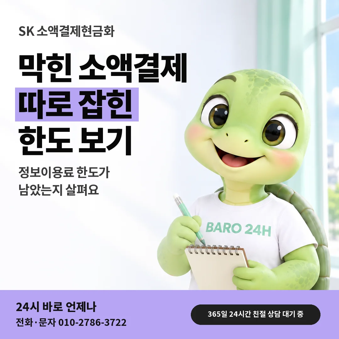 BARO 24H 티셔츠를 입은 3D 거북이 캐릭터 옆에 「SK 정보이용료 한도로 보기」 제목을 얹은 안내 카드